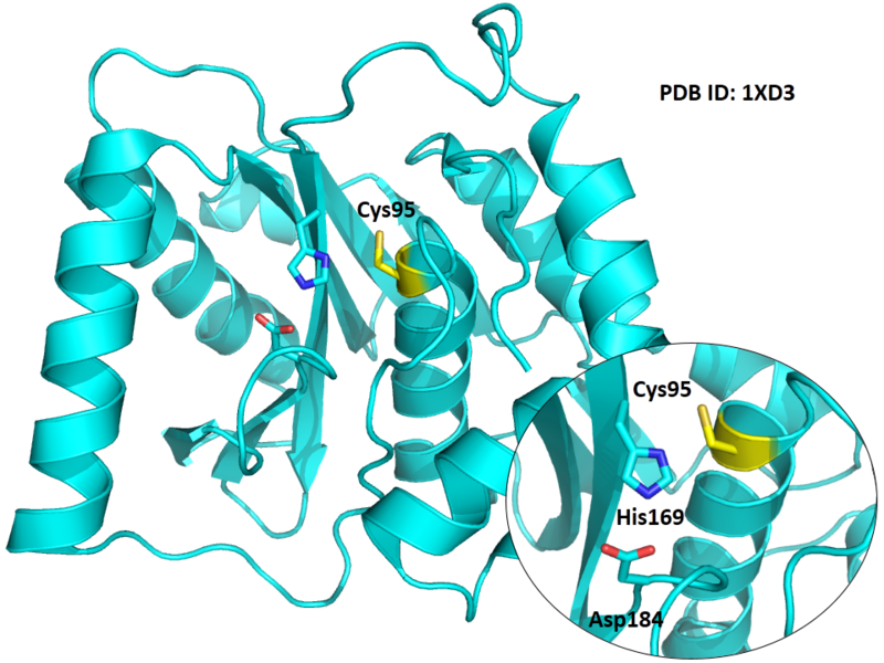 File:636.png