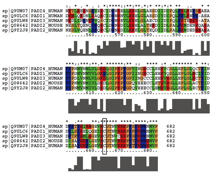 File:554 556-function.png