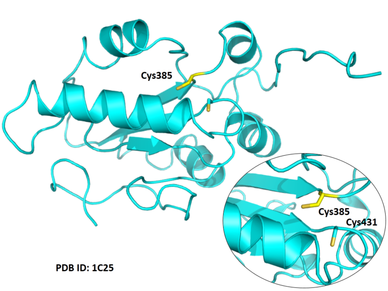 File:516.png