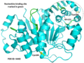 Thumbnail for version as of 04:42, 28 April 2020
