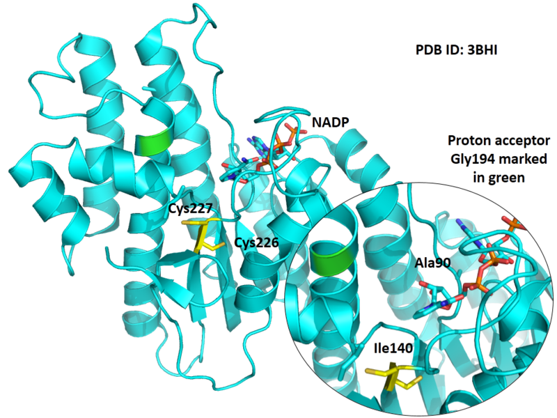 File:619.png