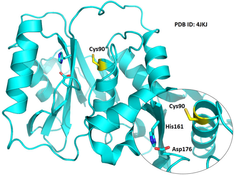 File:637.png