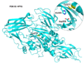 Thumbnail for version as of 04:38, 28 April 2020