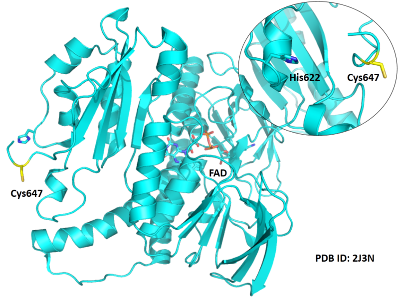File:635.png