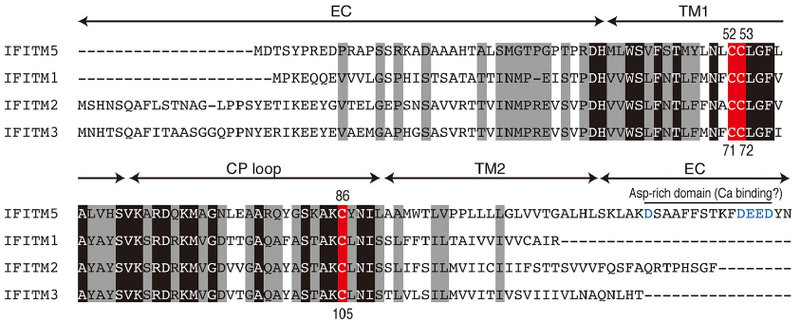 File:629-function.png