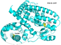 Thumbnail for version as of 02:38, 2 August 2019