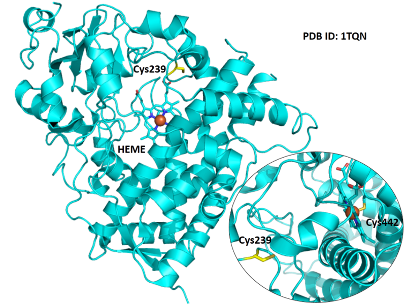 File:620.png