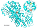 Thumbnail for version as of 02:42, 2 August 2019