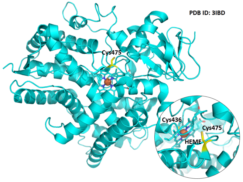 File:622.png