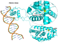 Thumbnail for version as of 04:38, 28 April 2020