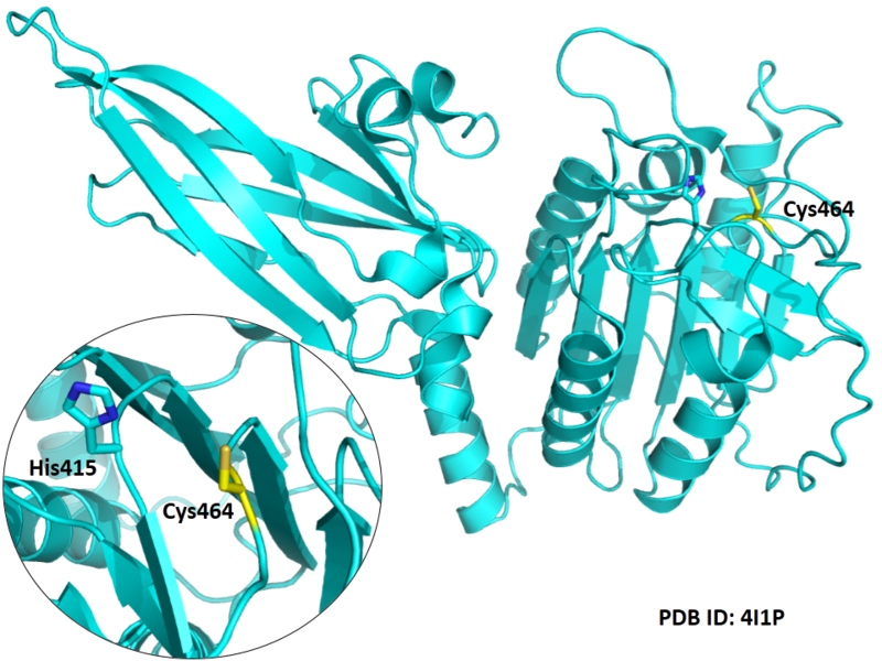 File:570.png