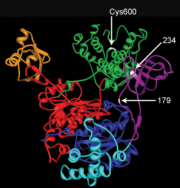 File:539-A.png