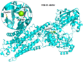 Thumbnail for version as of 04:38, 28 April 2020
