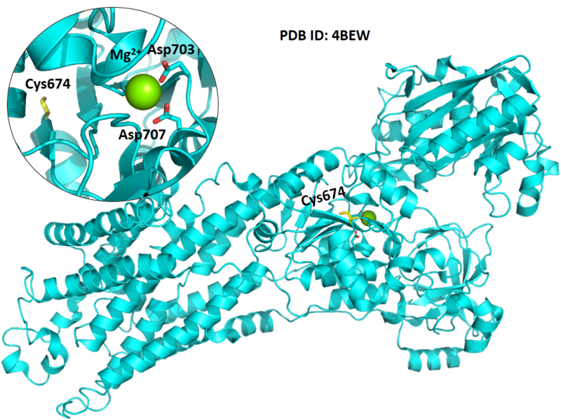File:609.png
