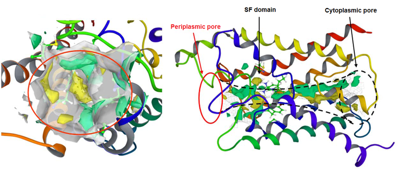File:617-function.png